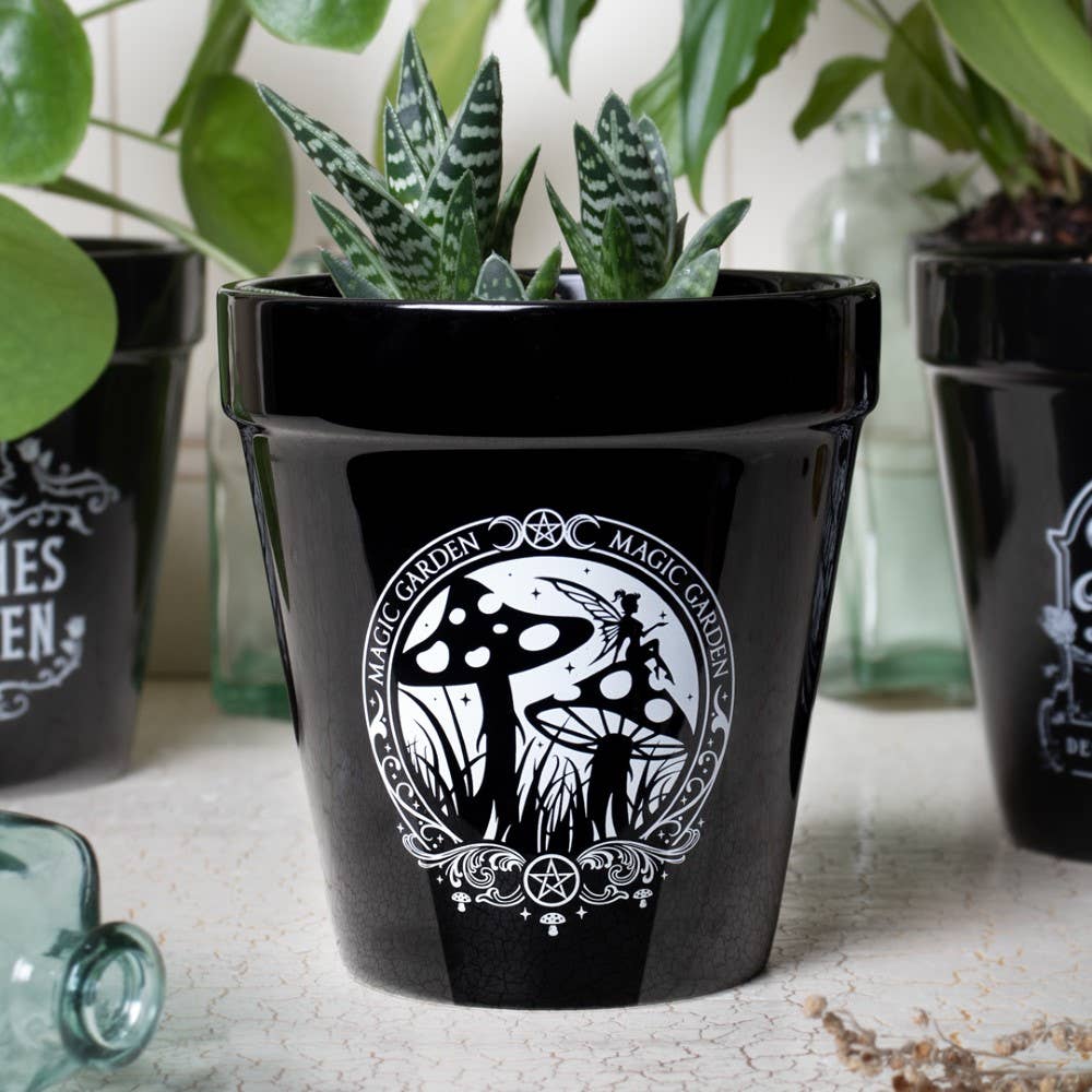Magic Garden Plant Pot (Ceramic Plant Pot)